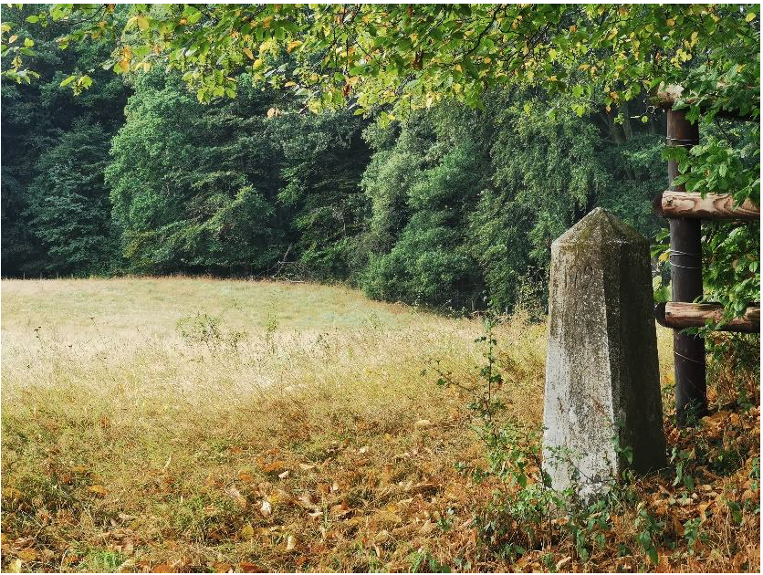 Bildschirmfoto 2023-04-11 um 12.04.37