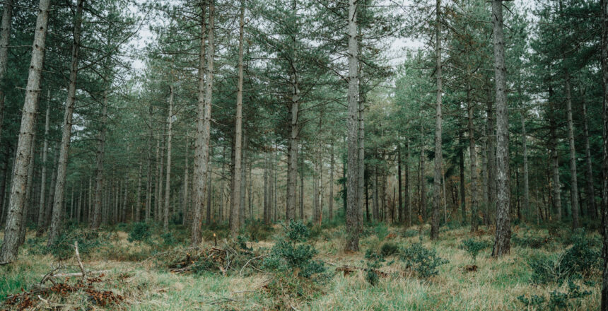 mat-napo-63Q0Uy8XD44-unsplash